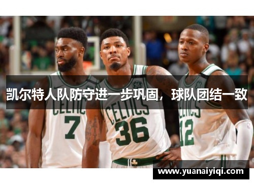 凯尔特人队防守进一步巩固，球队团结一致